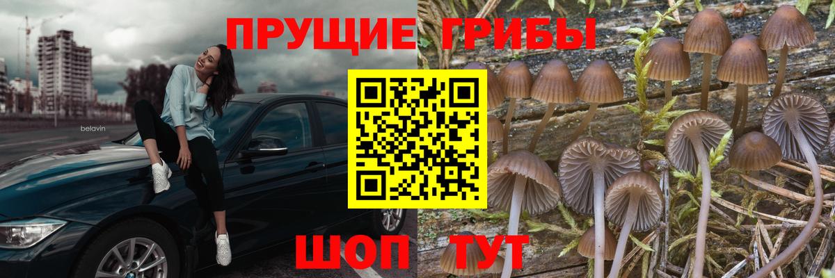 Псилоцибиновые грибы GOLDEN TEACHER Новочеркасск