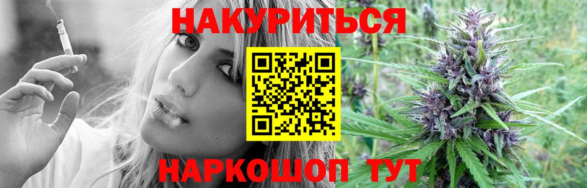 Конопля OG Kush Новочеркасск
